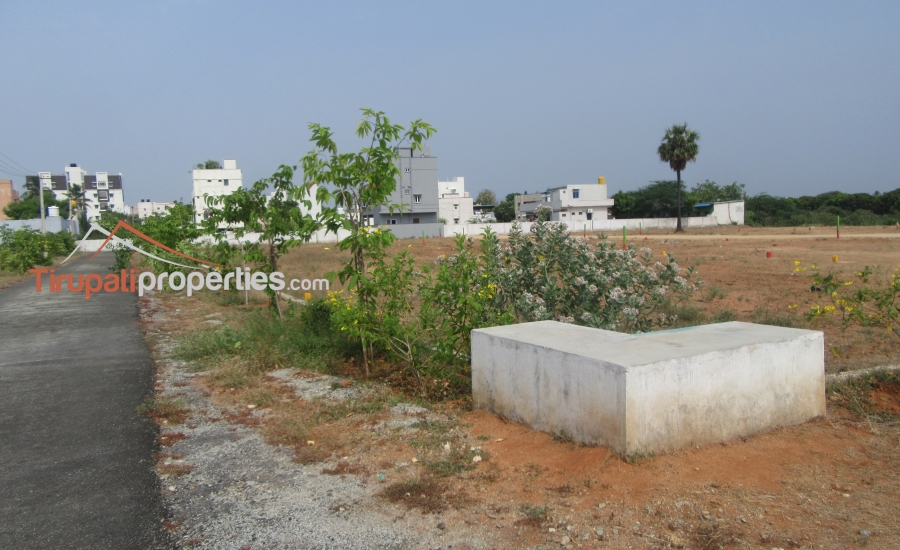 TUDA Approved #GatedCommunity East, West and North Facing Venture #PlotsforSale in Tiruchanur, #Tirupati